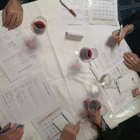 corsi x corsisti degustano il vino
