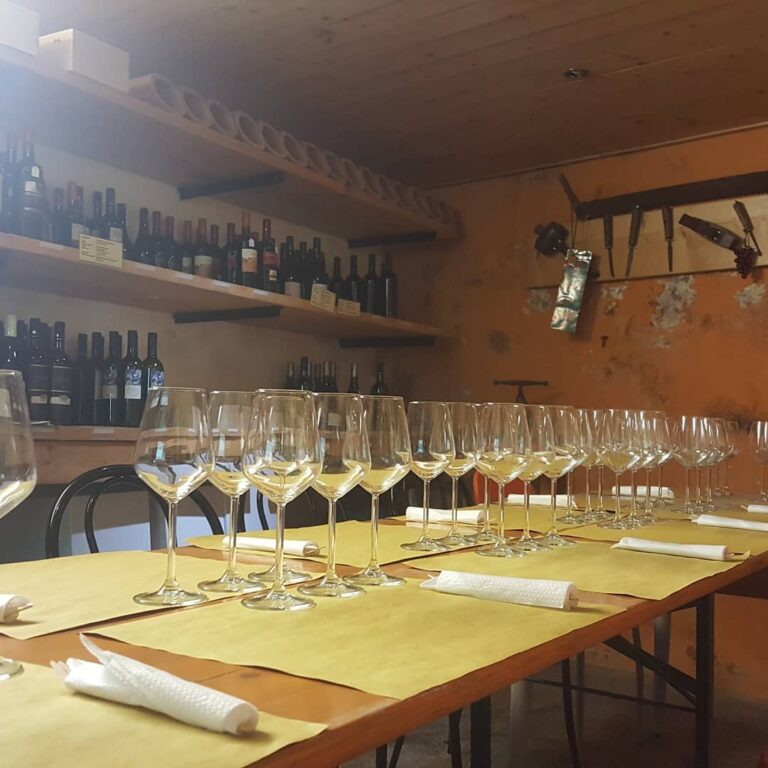 degustazioni connubio di vino
