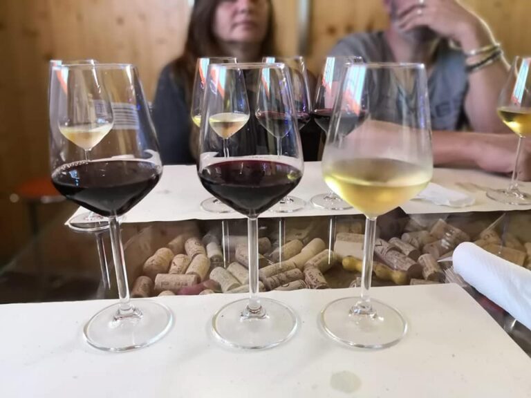 degustazioni connubio di vino