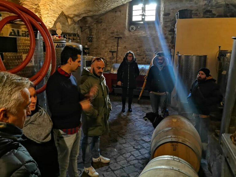 visite 10