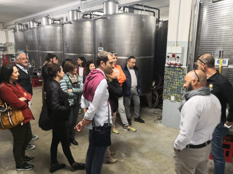 visite 12
