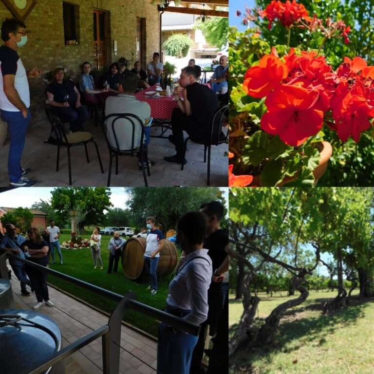 visite 2