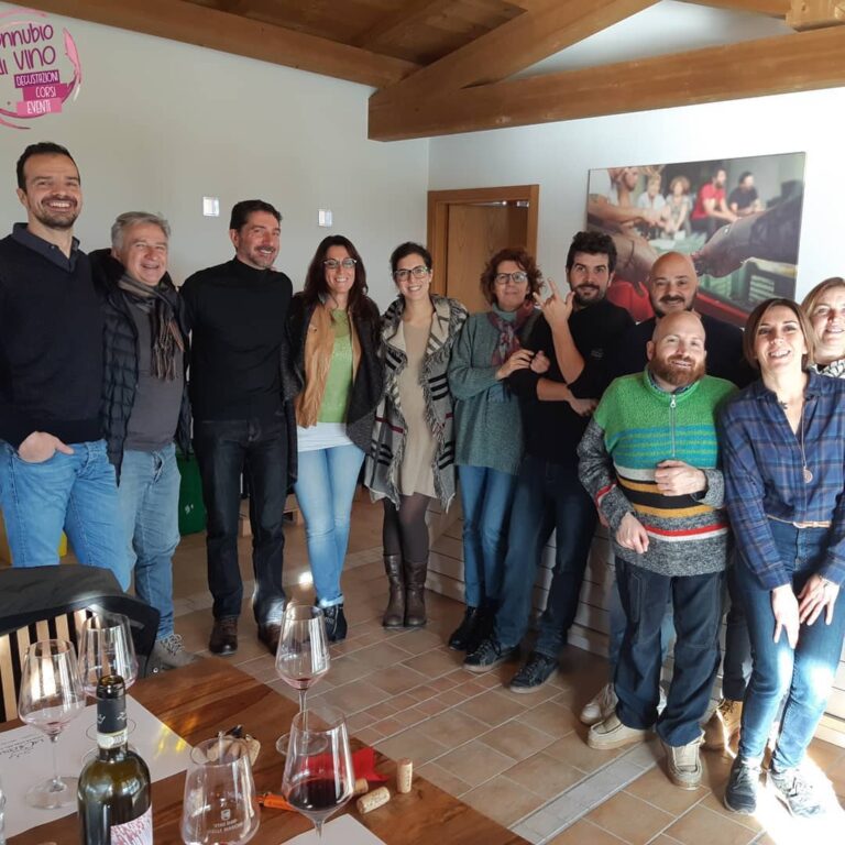 visite 6