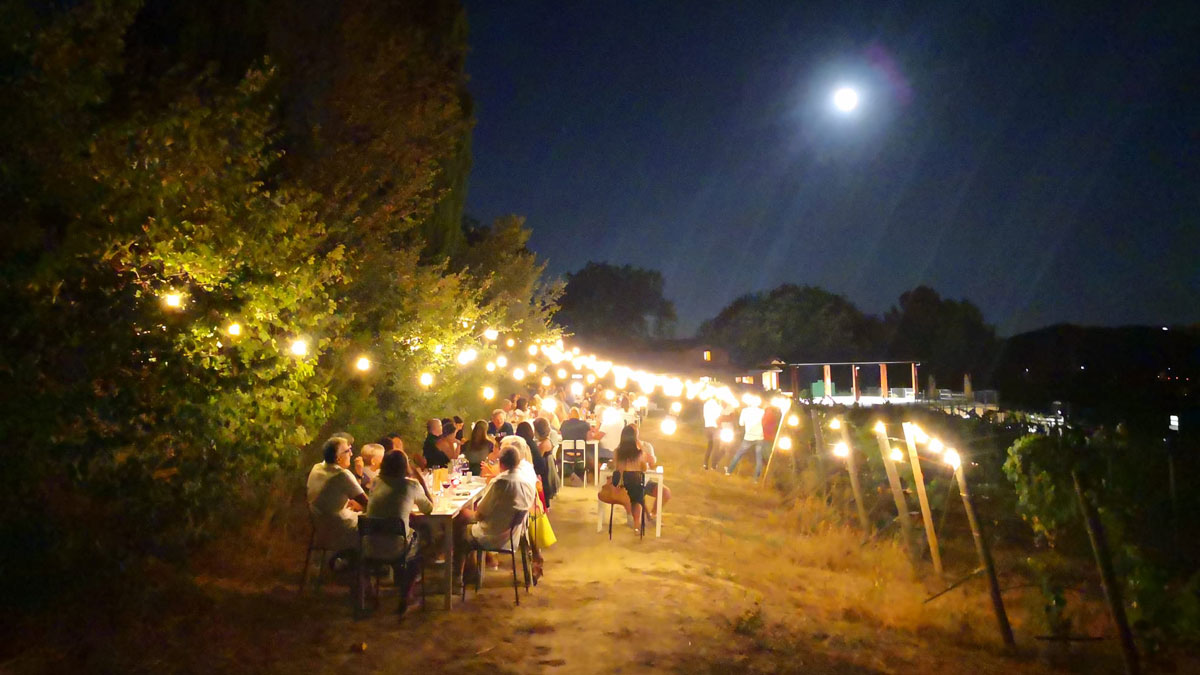Cena in vigna