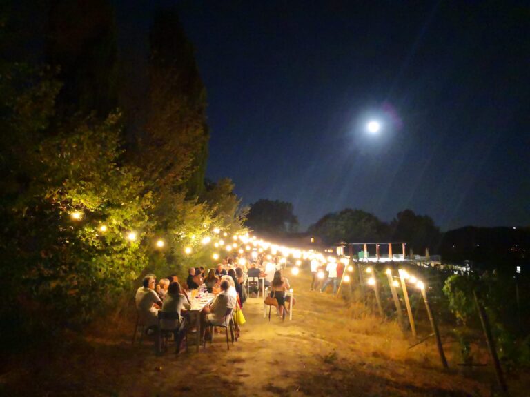 Cena in vigna