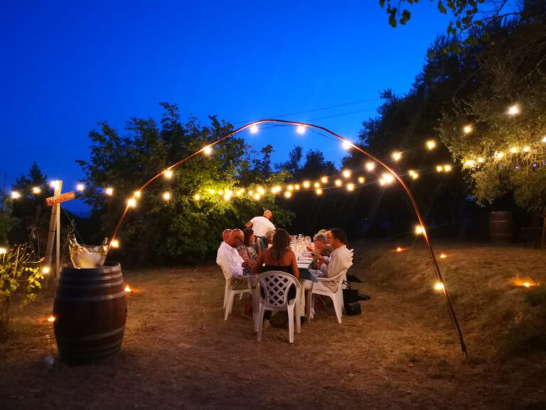 Cena in vigna