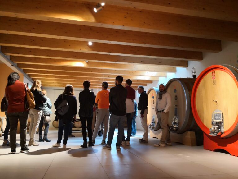visita in cantina