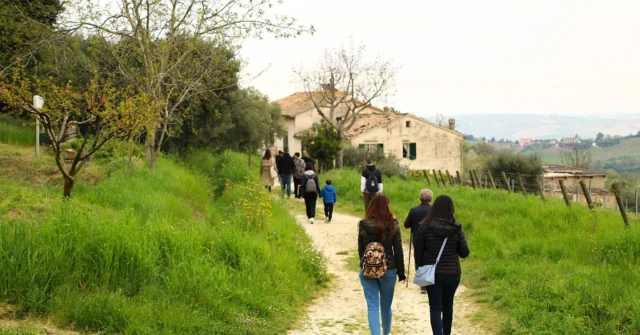 Nel nostro Wine tour di domenica 13 aprile, guidati da Luca d’Esposito, ci siamo addentrati nelle campagne di Cupramontana con una breve passeggiata tra i vigneti.
Successivamente, siamo arrivati nel borgo di Maiolati Spontini in cui ci ha accolto Luca Opacciani di Oppeddentro nella sua affascinante cantina dalle origini Medioevali, dove tra racconti e degustazioni abbiamo concluso una giornata all’insegna della natura, della scoperta e all’assaggio dei vini di questa interessantissima cantina marchigiana. 

Grazie a tutti i partecipanti, al nostro Luca d’Esposito e Luca Cacciani! 
Rimanete collegati per il prossimo appuntamento!

#connubiodivino #corsiperilvino #appassionarsialvino #winelover #wine